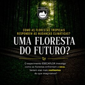Foto do evento