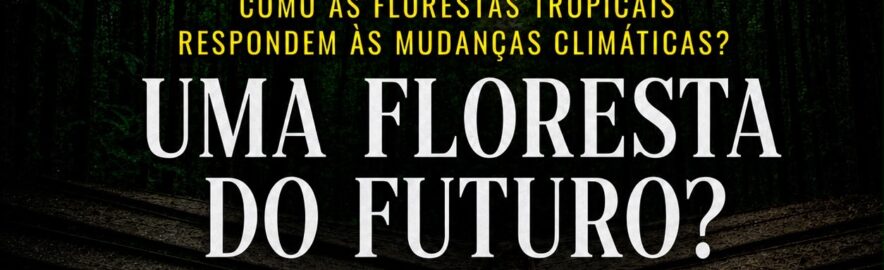 Foto do evento